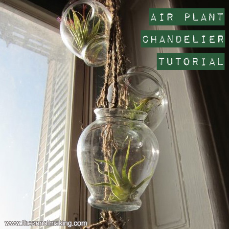 Tutorial: Air Plant Chandelier | Red-Handled Scissors