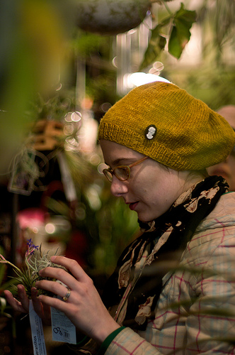 Sunday Snapshot: Air Plant Shopping at Dig | Red-Handled Scissors