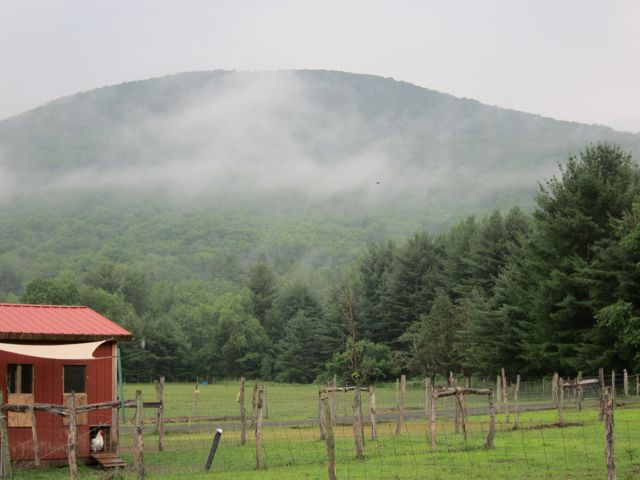 Woodstock Farm Animal Sanctuary, Day 2 | Red-Handled Scissors