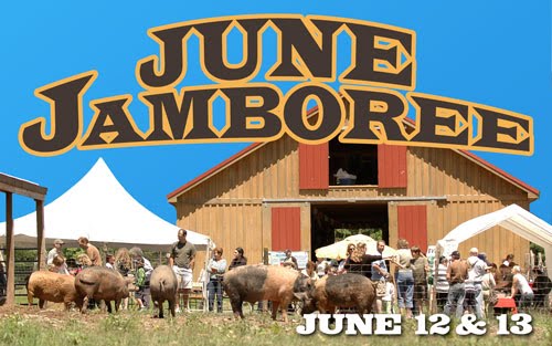 Blogging from Woodstock Farm Animal Sanctuary's June Jamboree | Red-Handled Scissors