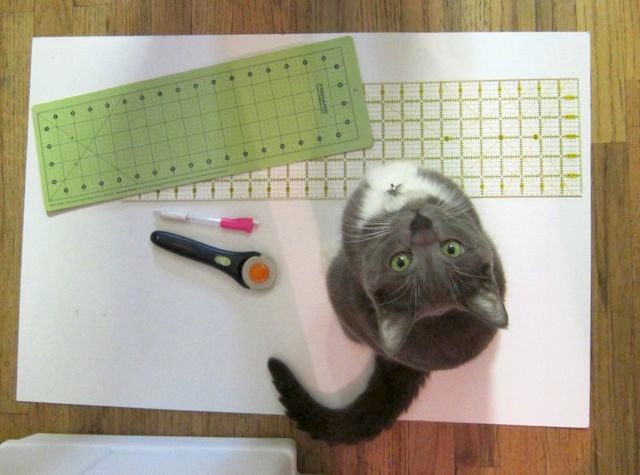 Sunday Snapshot: Simon the Cat Helps Make a Pocket Square | Red-Handled Scissors