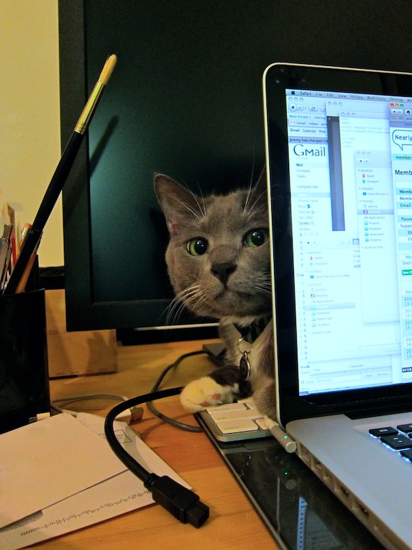 Sunday Snapshot: That's No Place for a Kitty! | Red-Handled Scissors