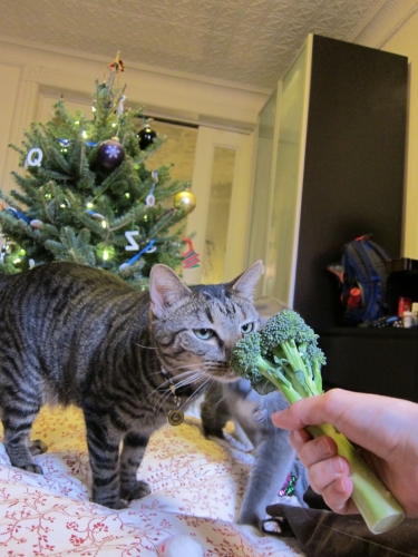 Christmas Wishes from Pixel and Simon | Red-Handled Scissors