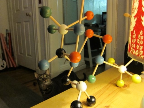 Sunday Snapshot: Two Cats and a Molecule Set | Red-Handled Scissors