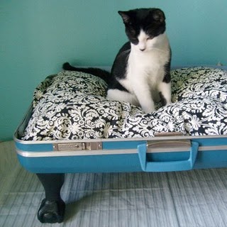 Friday Internet Crushes: Suitcase Pet Beds | Red-Handled Scissors