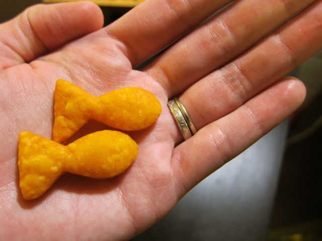 How-To: Vegan Goldfish Crackers with Plastic Bottle Cookie Cutter | Red-Handled Scissors