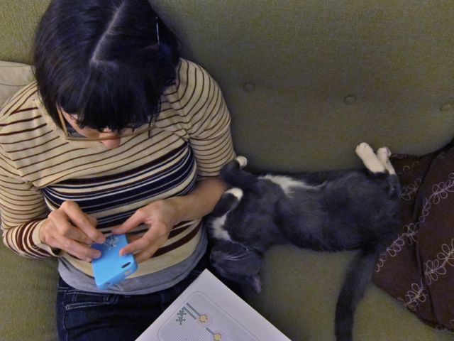Sunday Snapshot: Cross-Stitching with Cats | Red-Handled Scissors
