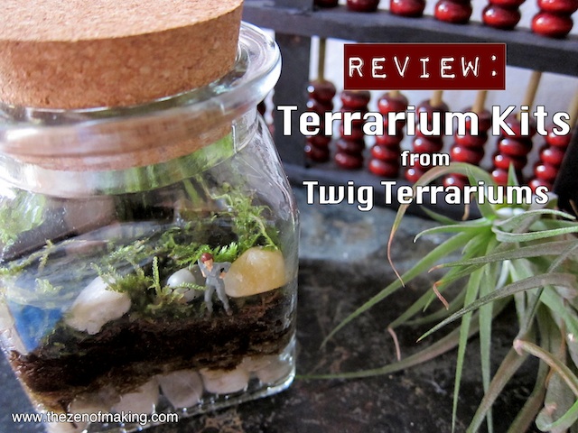 Review: Twig Terrariums Terrarium Kits | Red-Handled Scissors