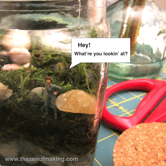 Sunday Snapshot: Terrarium Teaser | Red-Handled Scissors