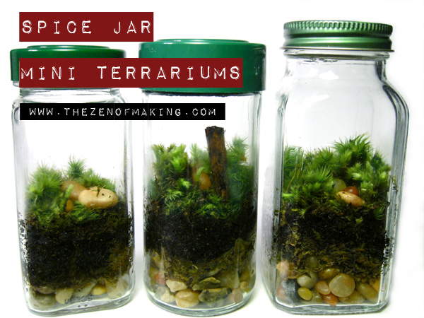 Tutorial: Spice Jar Mini Terrariums