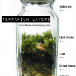 Tutorial: Spice Jar Mini Terrariums | Red-Handled Scissors