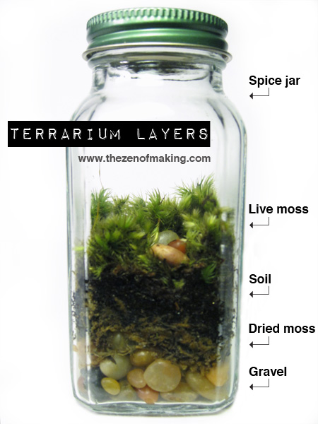 Tutorial: Spice Jar Mini Terrariums | Red-Handled Scissors