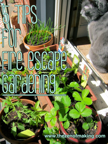 5 Tips for Successful Fire Escape and Container Gardening | Red-Handled Scissors