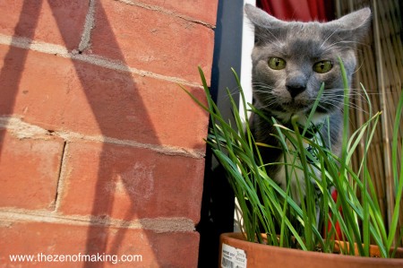 Sunday Snapshot: Funny Cat Butts for Mother's Day | Red-Handled Scissors