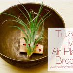 Tutorial: Living Air Plant Brooch for Craftzine.com | Red-Handled Scissors