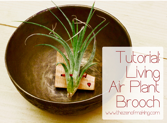 Tutorial: Living Air Plant Brooch for Craftzine.com | Red-Handled Scissors