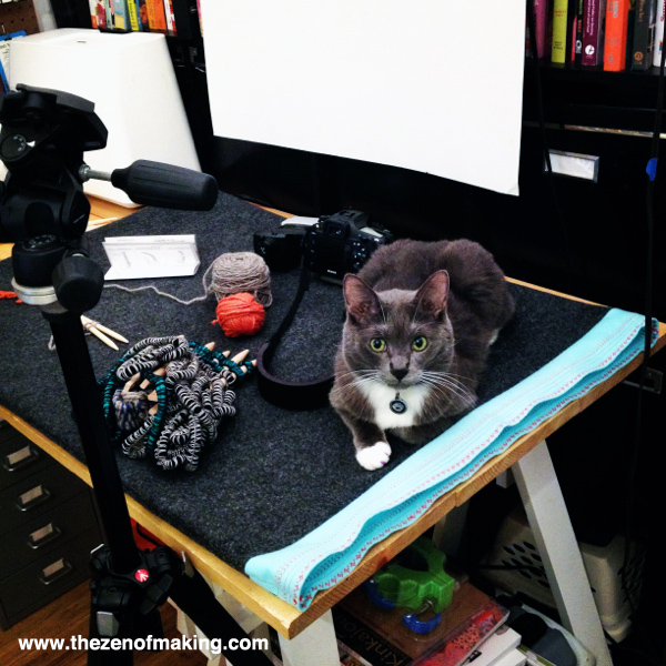 Monday Snapshot: Simon the Cat, Craft Photo Stylist | Red-Handled Scissors