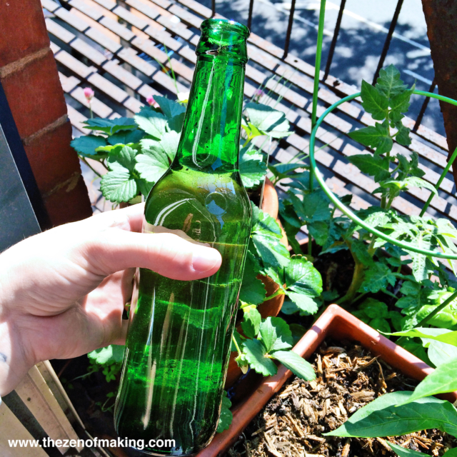 Tutorial: Beer Bottle Watering Globe for Houseplants and Container Gardens