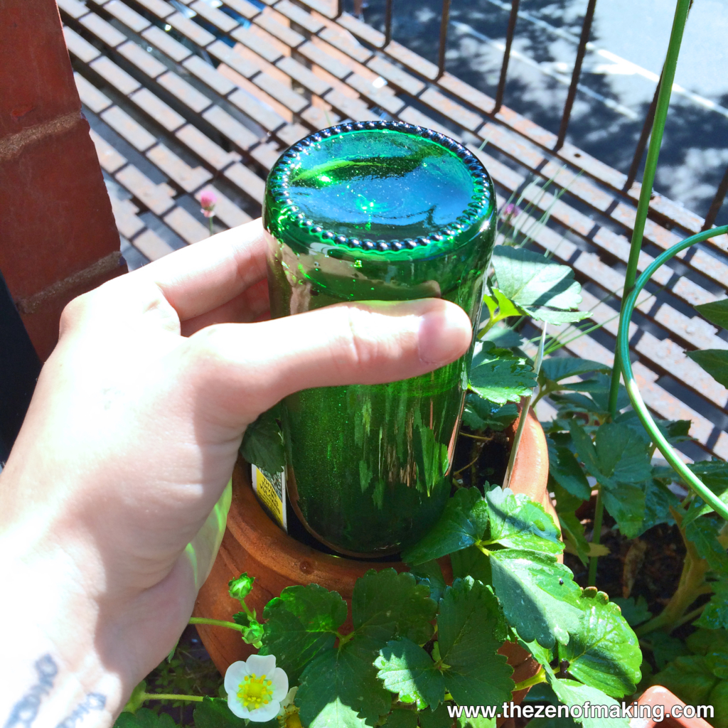 Tutorial Beer Bottle Watering Globe for Houseplants and Container Gardens