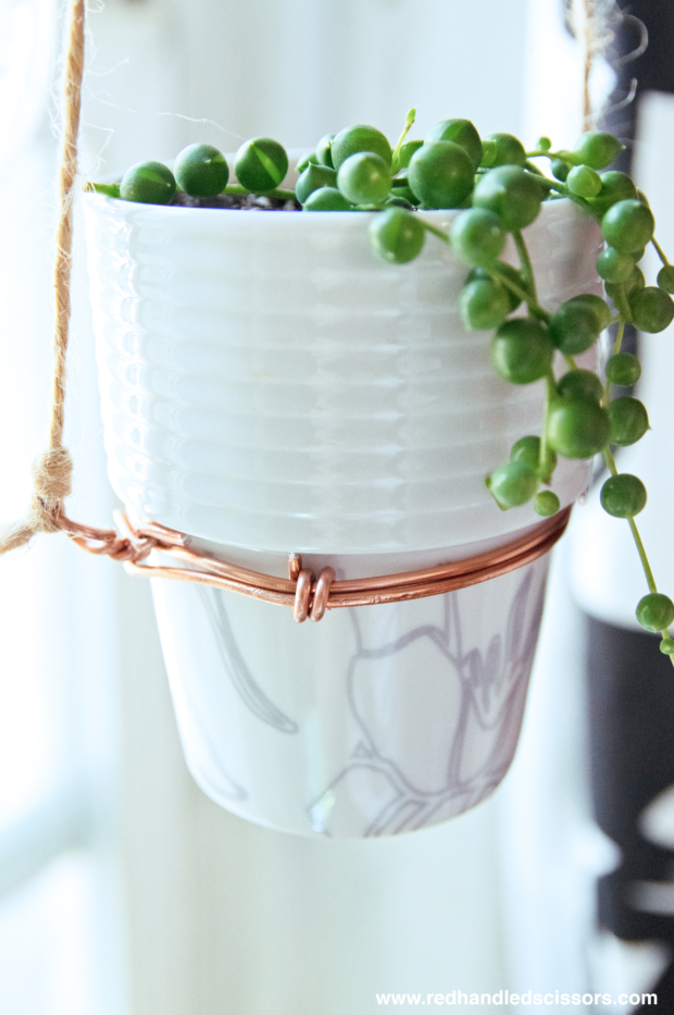 Tutorial: DIY Modern Hanging Planter