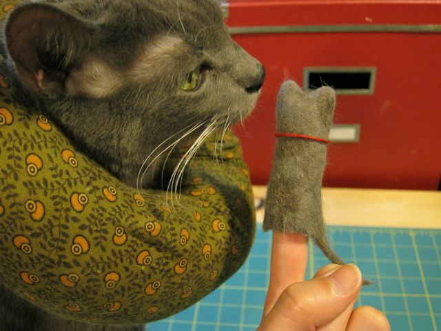 Review: Crafting with Cat Hair for Craft Test Dummies