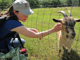 Woodstock Farm Animal Sanctuary, Day 1 | Red-Handled Scissors