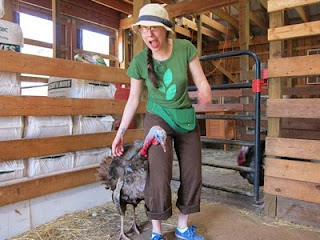 Woodstock Farm Animal Sanctuary, Day 1 | Red-Handled Scissors