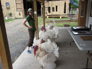 Woodstock Farm Animal Sanctuary, Day 1 | Red-Handled Scissors